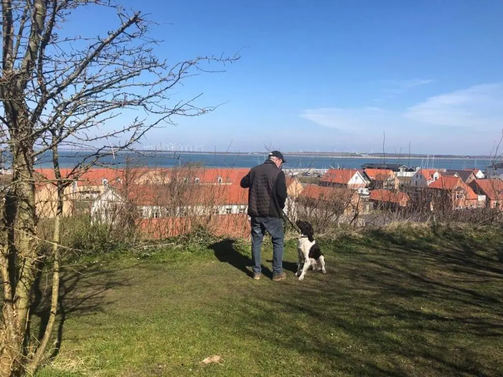 Gåtur med hunden og udsigt over Limfjorden